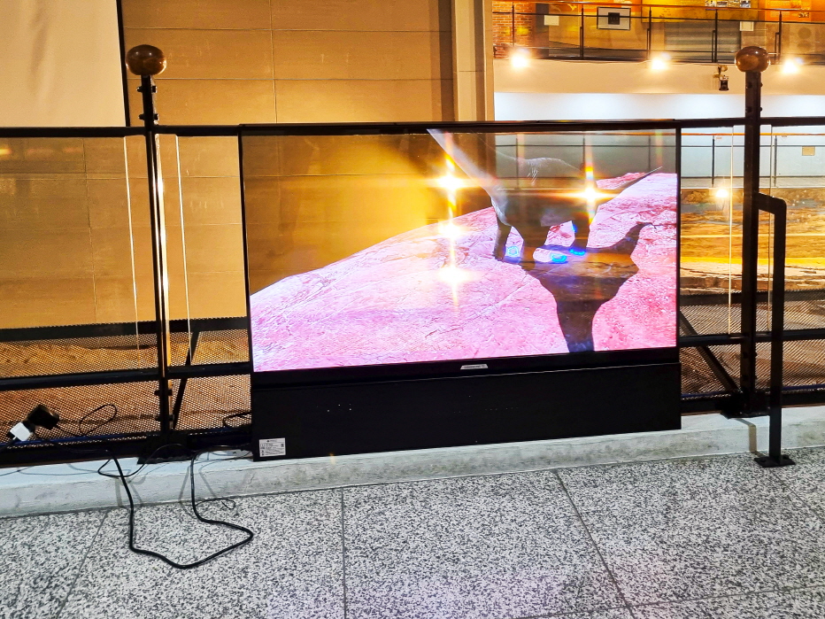 진주익룡발자국전시관 투명 OLED-01