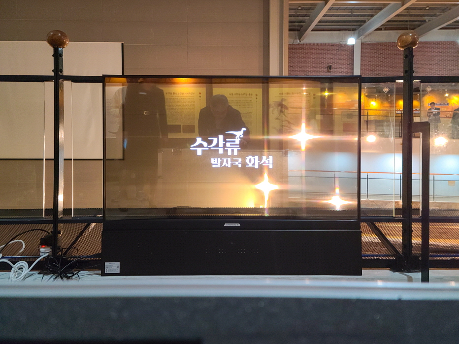 진주익룡발자국전시관 투명 OLED-03
