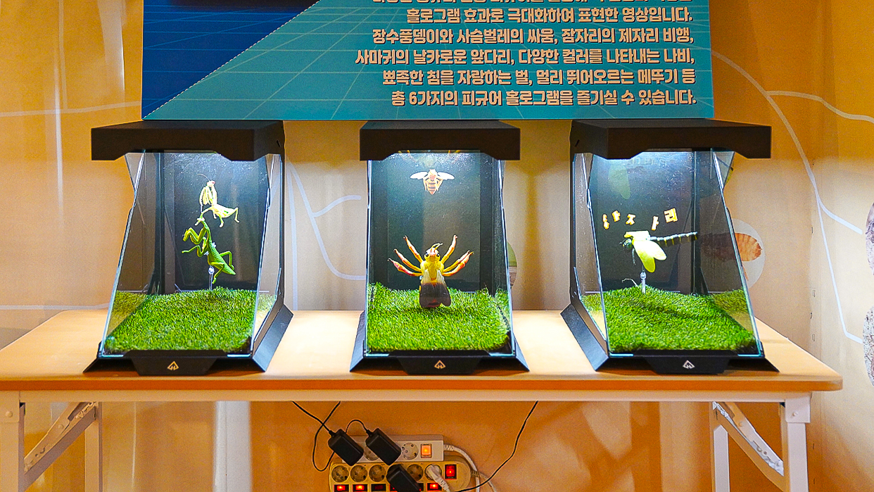 박물관 교육체험존 홀로그램-05