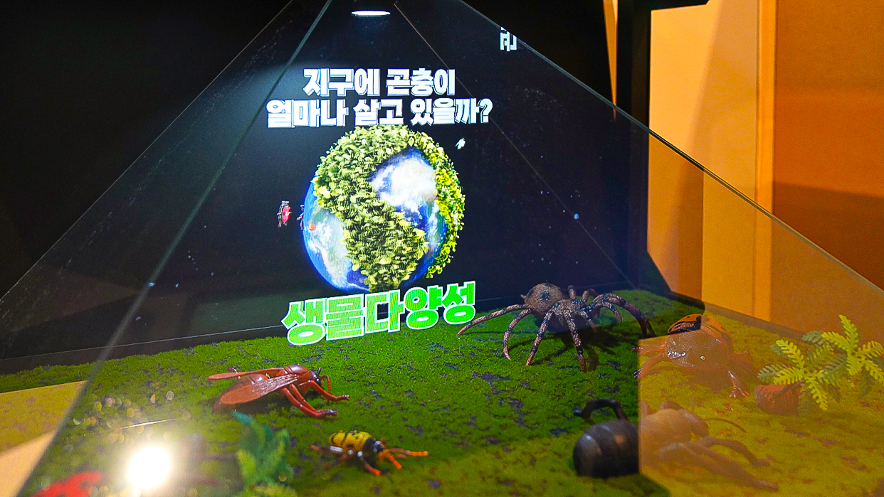 박물관 교육체험존 홀로그램-07