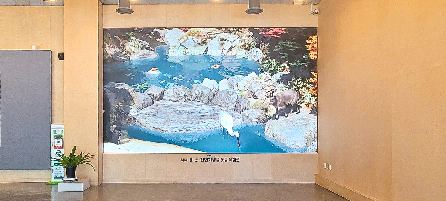 대전 천연기념물 센터 관람실 LED전광판-05