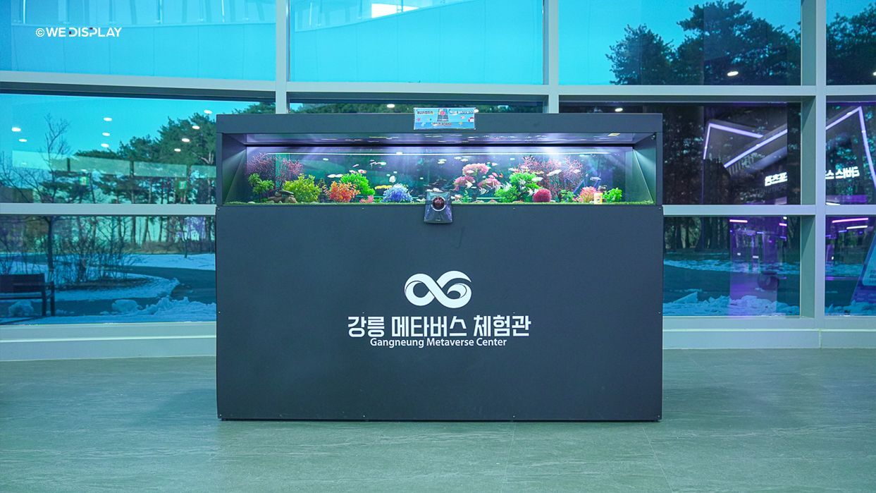메타버스 체험관 디지털 수족관 홀로그램-06